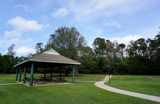 Community Picnic Area