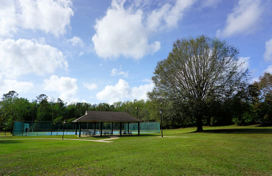 Community Tennis Courts and Picnic Area