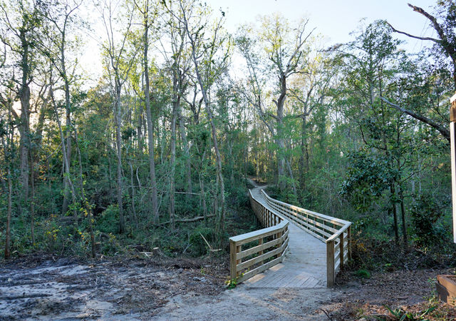 Boardwalk