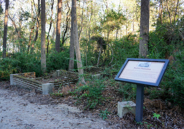 Buchoi Plantation
