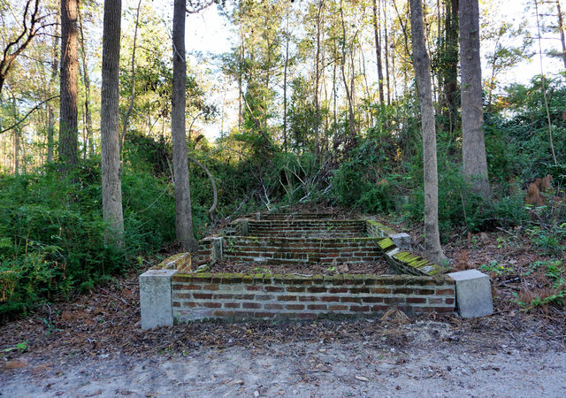 Buchoi Plantation