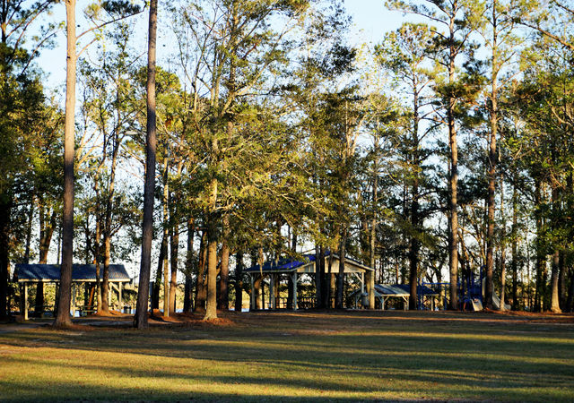 Picnic Area and Playground