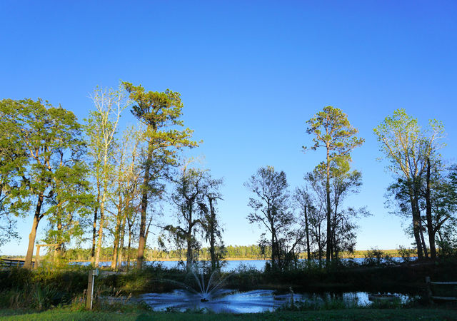 River Views