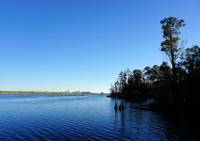 River Views and Wilmington Port