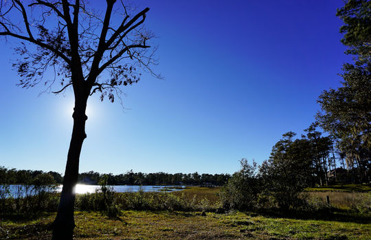 Waterfront Pre-Construction