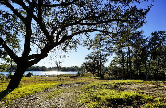 Waterfront Pre-Construction