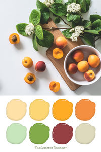 Apricot Paint Color Palette - The Cameron Team
