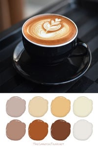 Coffee Paint Color Palette - The Cameron Team