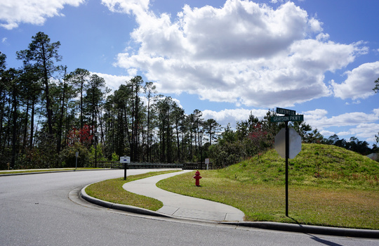 Grayson Park - Streetscape