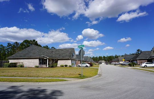 Grayson Park - Streetscape