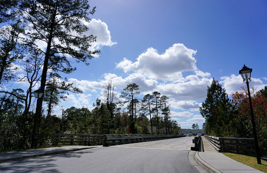 Grayson Park - Streetscape