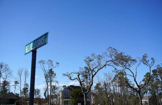 Belville Oaks &#8211; Street Sign