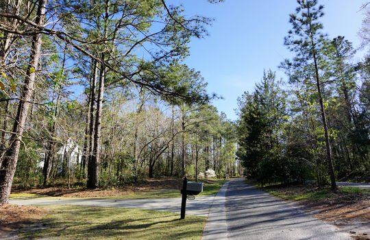 Jackeys Creek - Streetscape