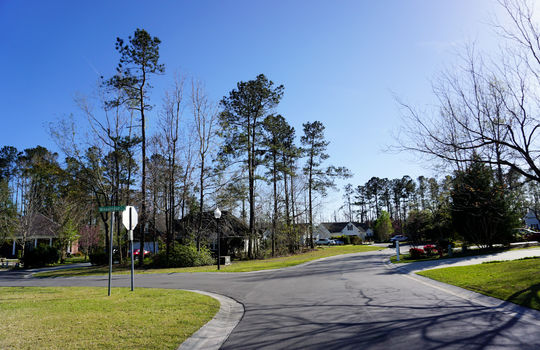 Jackeys Creek - Streetscape