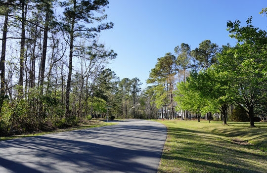 Jackeys Creek - Streetscape