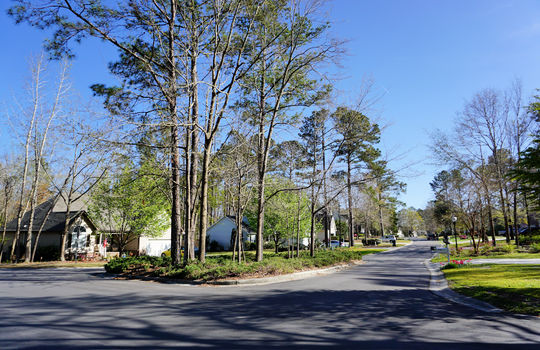 Jackeys Creek - Streetscape