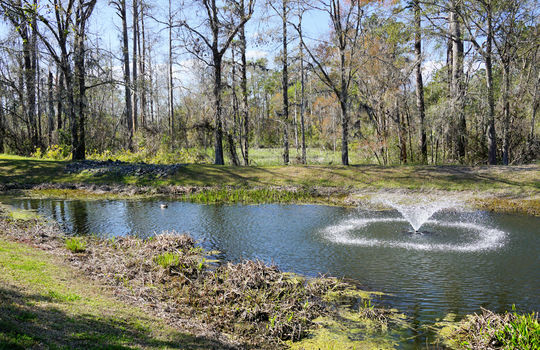 The Village at Hawkeswater - Pond
