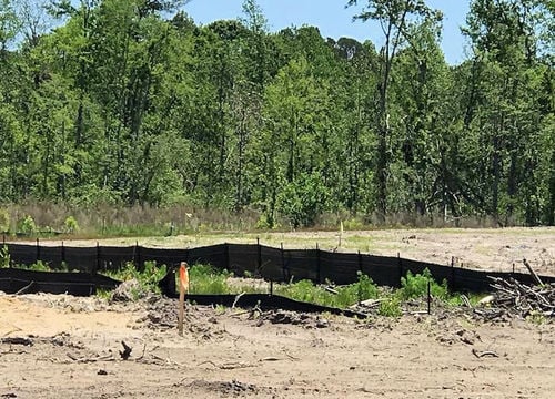 Ashe Wood - Clearing