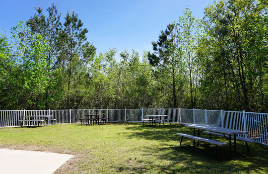 Picnic Area