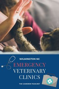 Wilmington NC Emergency Veterinary Clinics