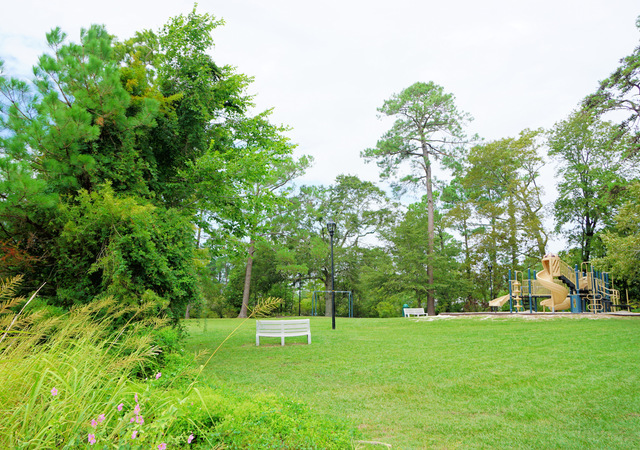 Wilson Bay Park Playground