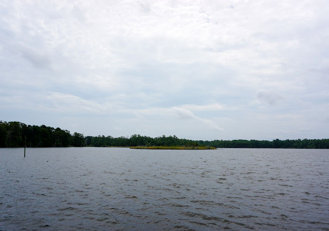 Wilson Bay Park View