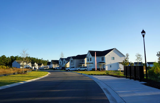 The Landing at Lewis Creek - Streetscape