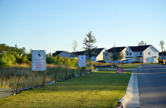 The Landing at Lewis Creek - Streetscape