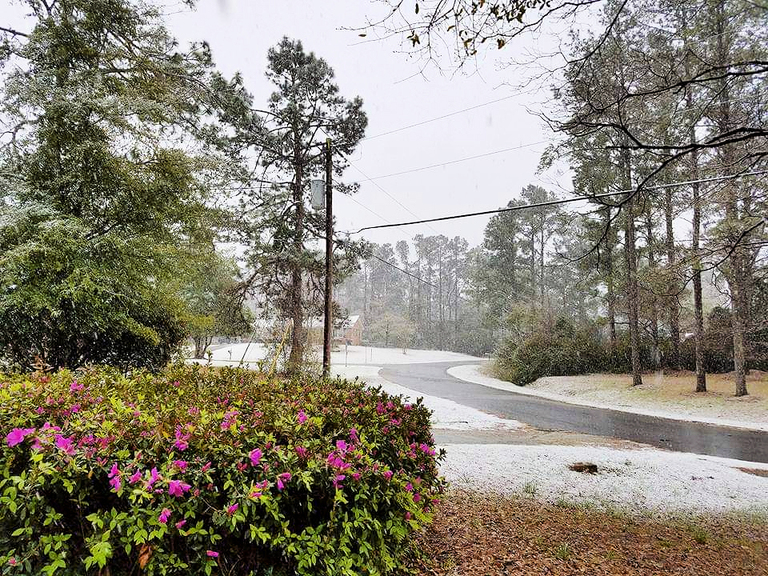 Does it Snow in Wilmington NC? The Cameron Team