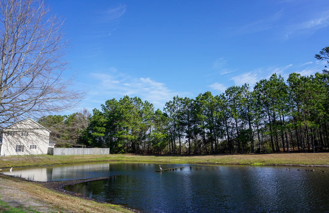 Farrington Farms Homes for Sale in Wilmington, NC The Cameron Team