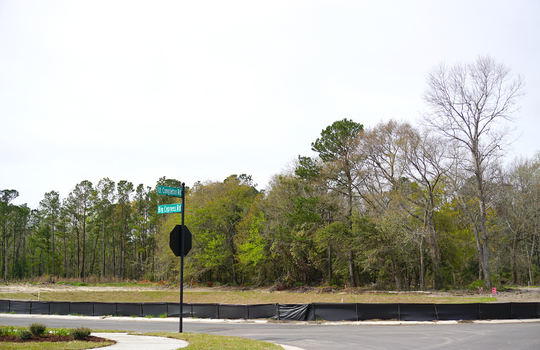 Congleton Farms - Street and Lots