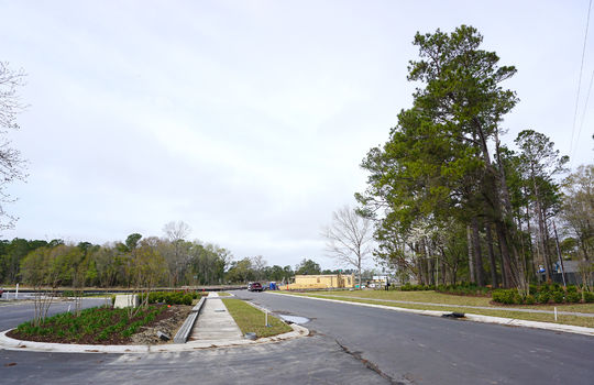Congleton Farms - Street and Lots