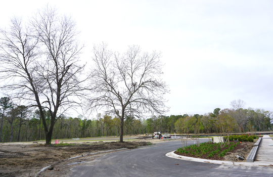 Congleton Farms - Street and Lots