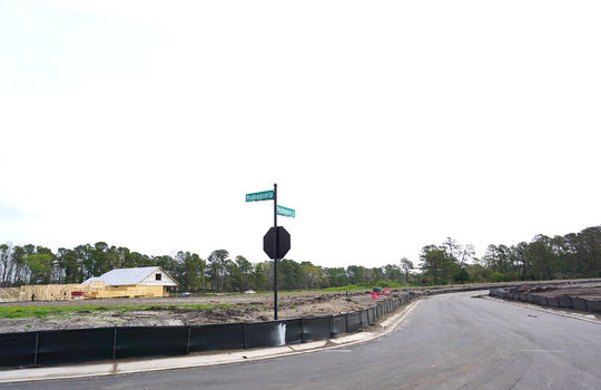 Congleton Farms - Street and Lots