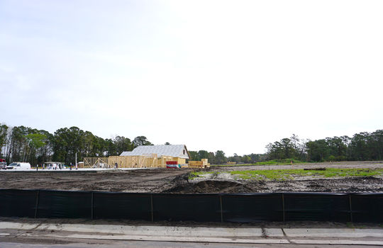 Congleton Farms - Street and Lots