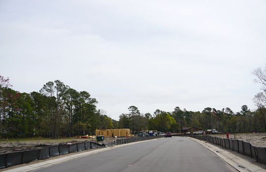 Congleton Farms - Street and Lots