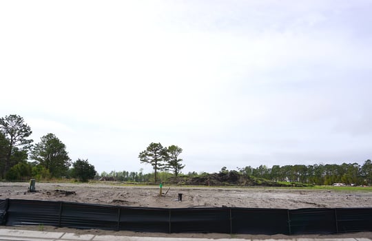 Congleton Farms - Street and Lots