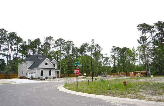 Canby Oaks - Streetscape