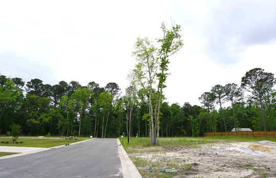 Canby Oaks - Streetscape