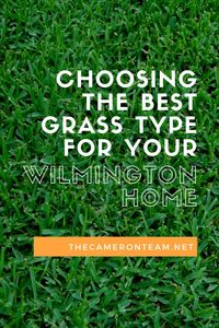 Choosing the Best Grass Type for Your Wilmington Home