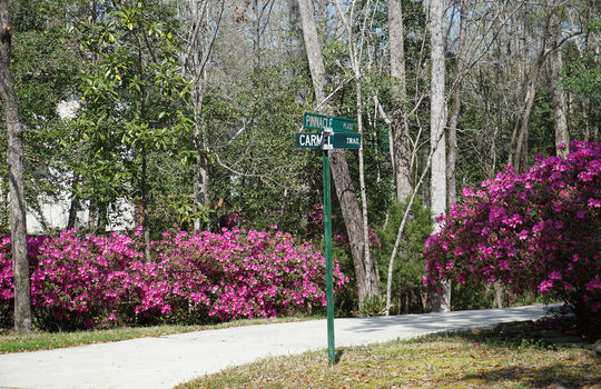 Providence - Streetscape