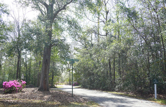 Providence - Streetscape