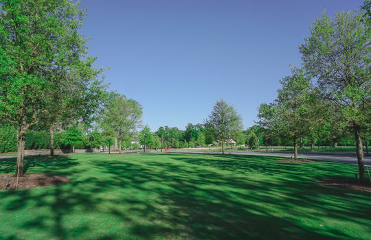 Airlie at Wrightsville Sound - Greenspace