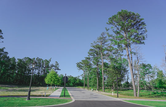 Airlie at Wrightsville Sound - Street and Lots