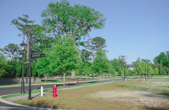 Airlie at Wrightsville Sound - Street and Lots