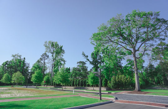 Airlie at Wrightsville Sound - Street and Lots