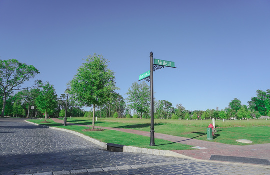 Airlie at Wrightsville Sound - Street and Lots