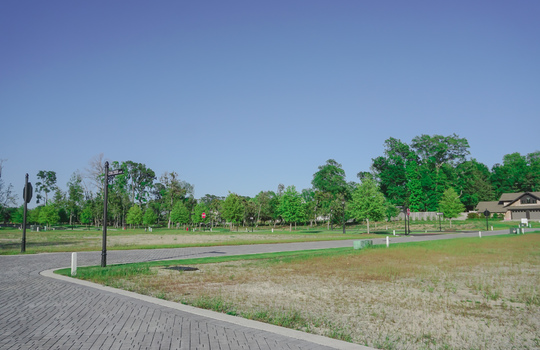 Airlie at Wrightsville Sound - Street and Lots