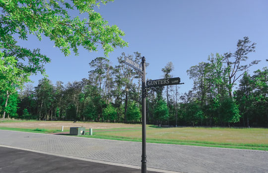 Airlie at Wrightsville Sound - Street and Lots
