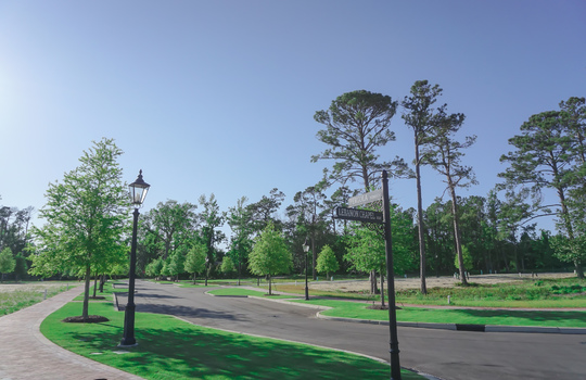 Airlie at Wrightsville Sound - Street and Lots